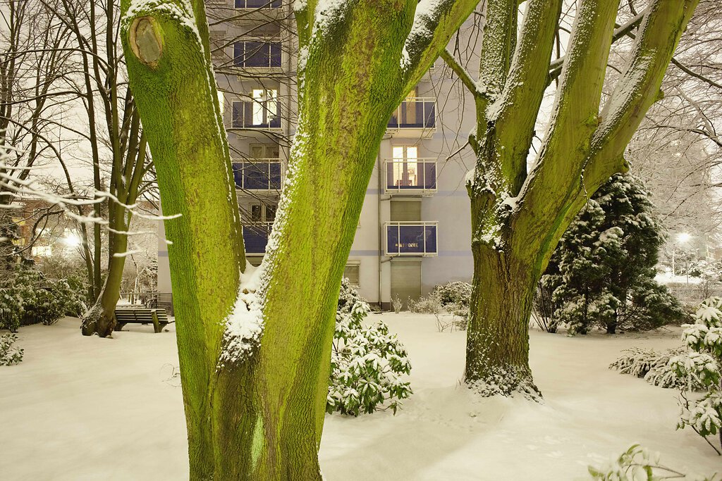 Schneenaechte
